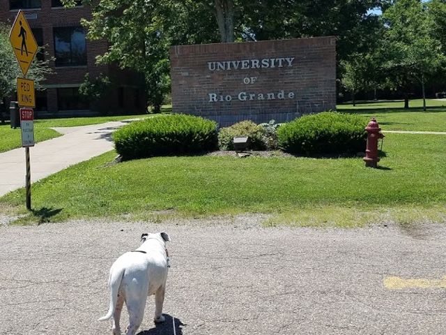 Photo of University of Rio Grande