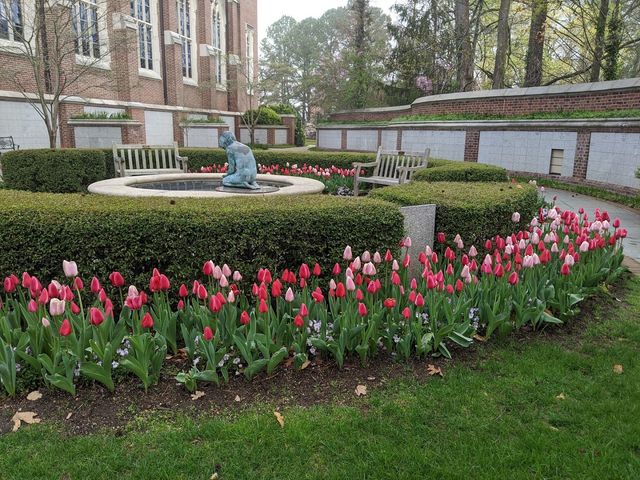 Photo of University of Richmond