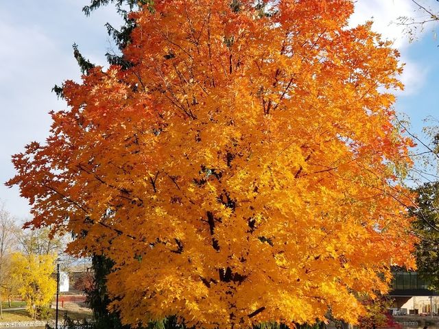 Photo of University of Saint Francis-Fort Wayne
