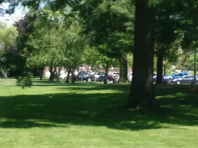 Photo of University of Saint Joseph