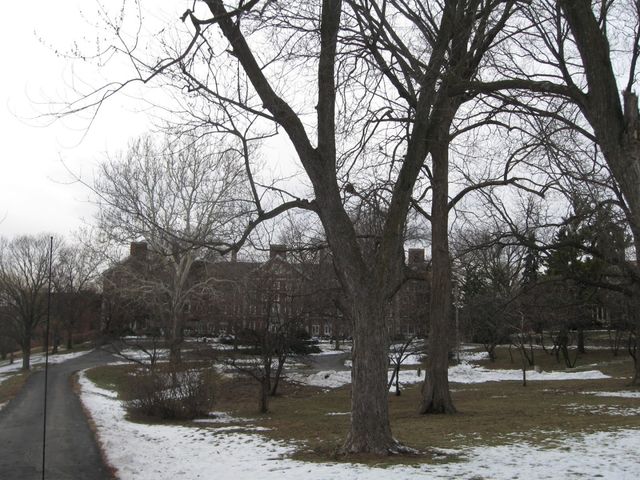 Photo of University of Saint Mary