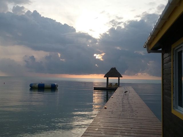 Photo of University of South Alabama