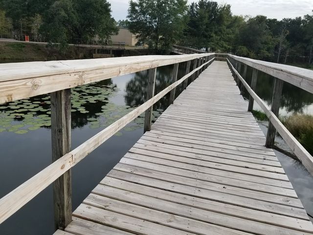 Photo of University of South Alabama