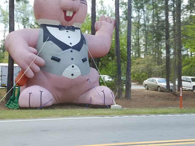 Photo of University of South Carolina Beaufort