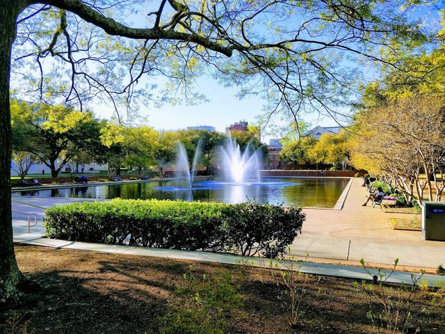 Photo of University of South Carolina-Columbia