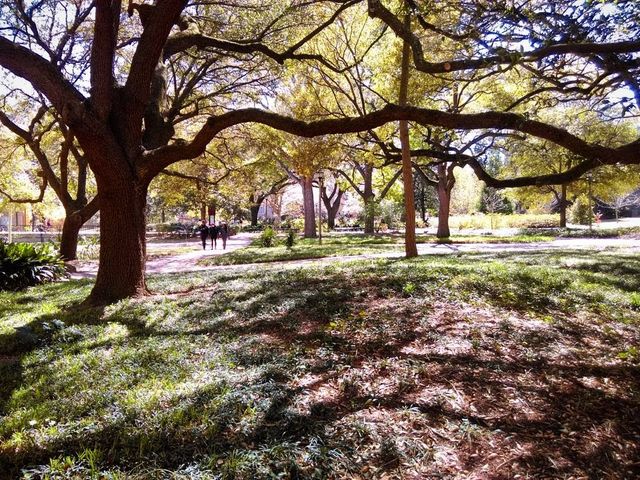 Photo of University of South Carolina-Columbia