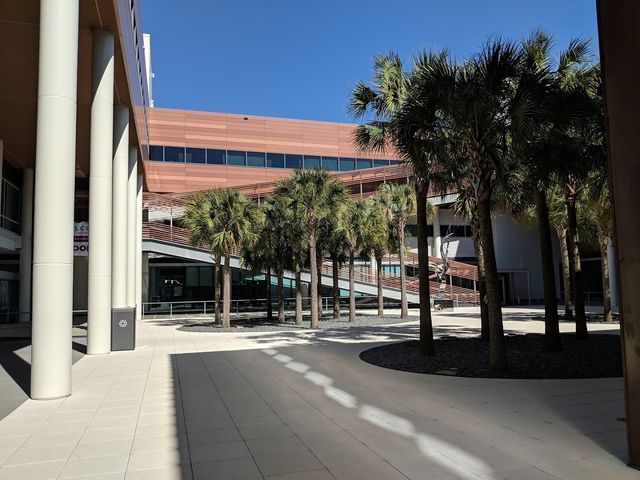 Photo of University of South Carolina-Columbia