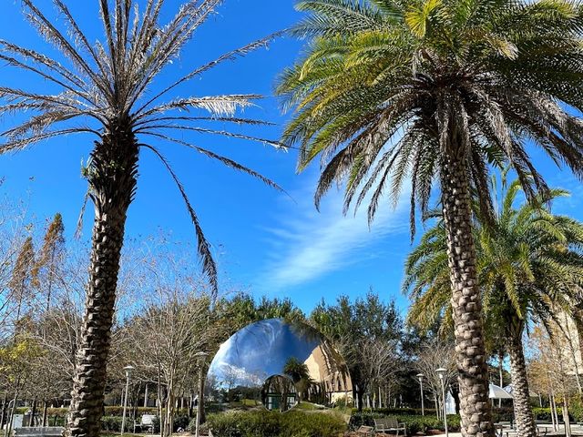 Photo of University of South Florida-Main Campus
