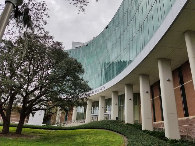 Photo of University of South Florida-Main Campus