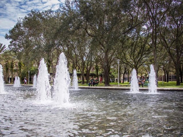 Photo of University of South Florida-Main Campus