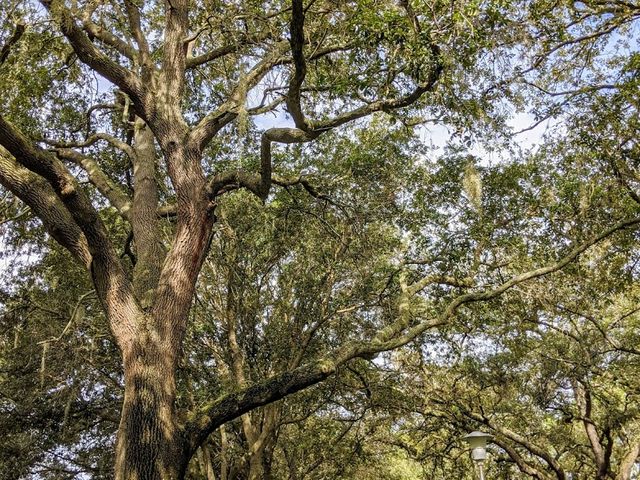 Photo of University of South Florida-Main Campus