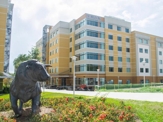 Photo of University of South Florida-Main Campus
