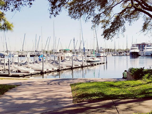 Photo of University of South Florida-St Petersburg