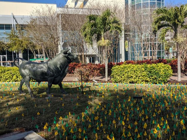 Photo of University of South Florida-St Petersburg