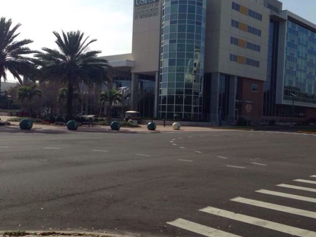 Photo of University of South Florida-St Petersburg