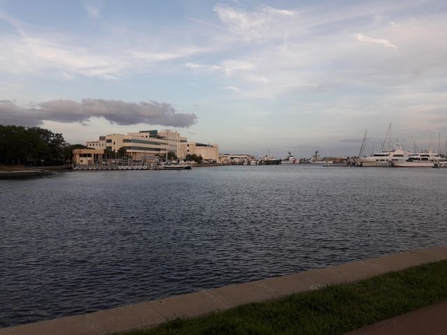 Photo of University of South Florida-St Petersburg