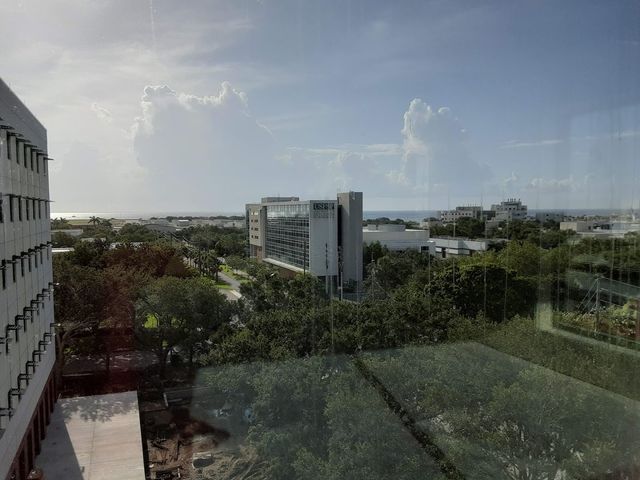 Photo of University of South Florida-St Petersburg