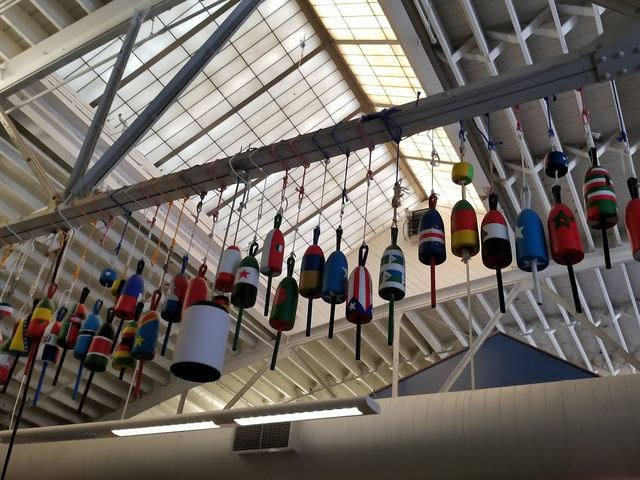 Photo of University of Southern Maine