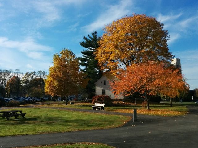 Photo of University of Southern Maine