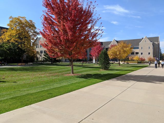 Photo of University of St Thomas