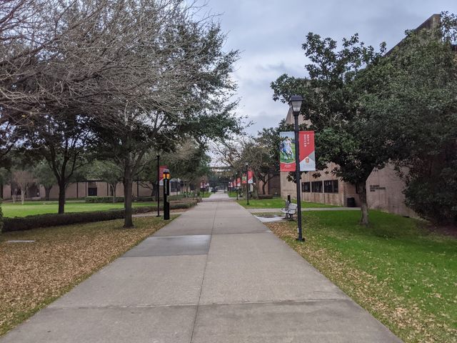 Photo of University of St Thomas