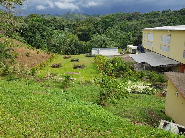 Photo of Universidad Adventista de las Antillas