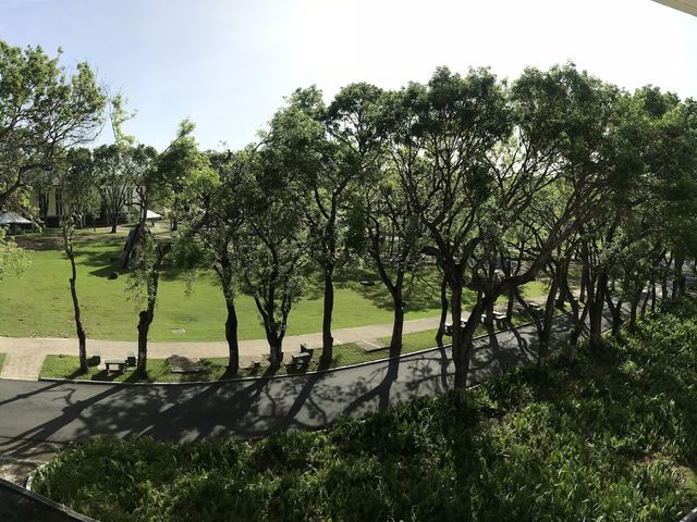 Photo of Universidad del Sagrado Corazon