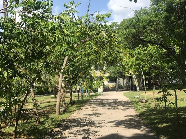 Photo of Universidad del Sagrado Corazon