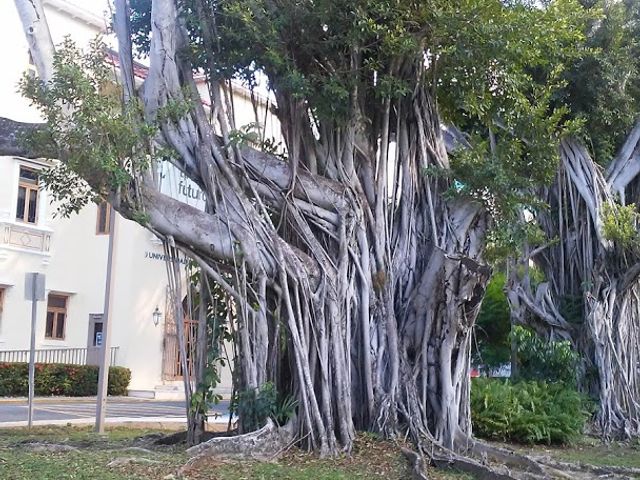 Photo of Universidad Politecnica de Puerto Rico