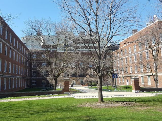 Photo of Upstate Medical University