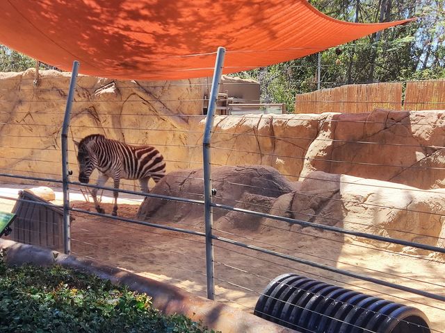 Photo of Urban Jungle