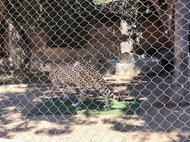 Photo of Urban Jungle