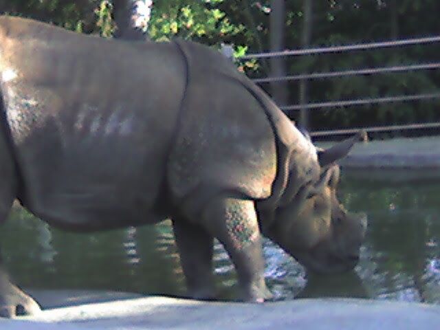 Photo of Urban Jungle