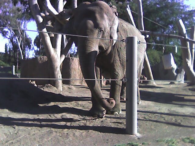 Photo of Urban Jungle