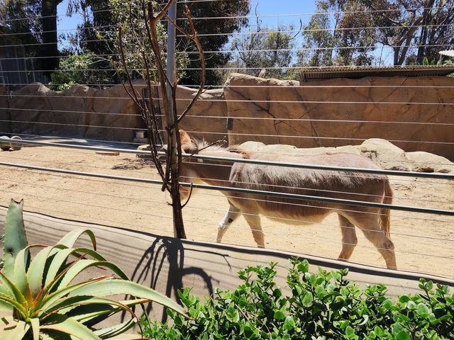 Photo of Urban Jungle