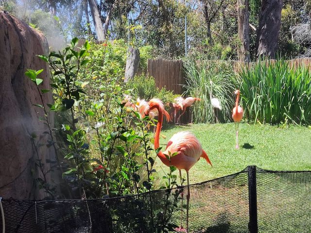 Photo of Urban Jungle