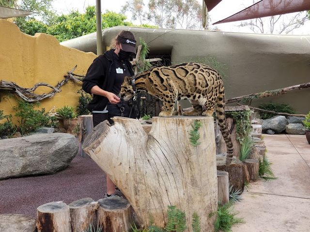 Photo of Urban Jungle