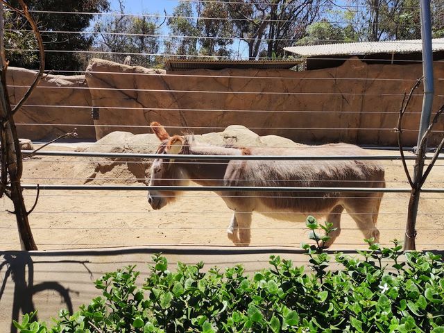 Photo of Urban Jungle