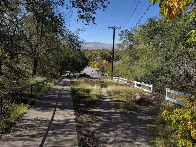 Photo of Utah State University