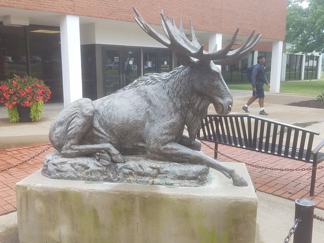 Photo of Utica College