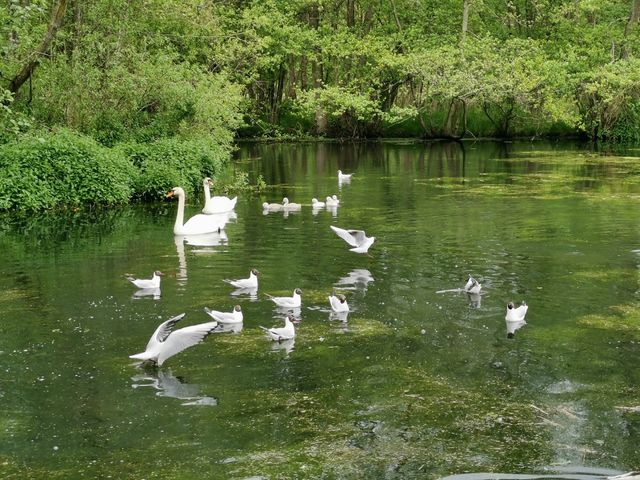 Photo of Vognsbølparken