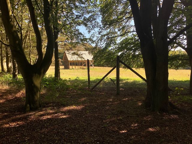 Photo of Vognsbølparken