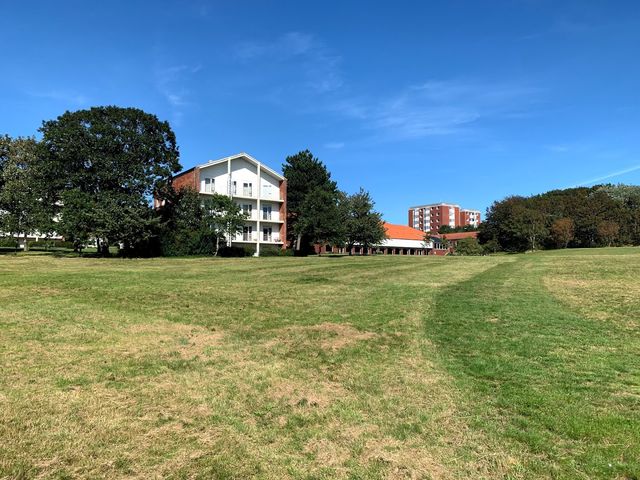 Photo of Vognsbølparken