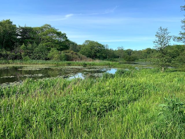 Photo of Vognsbølparken