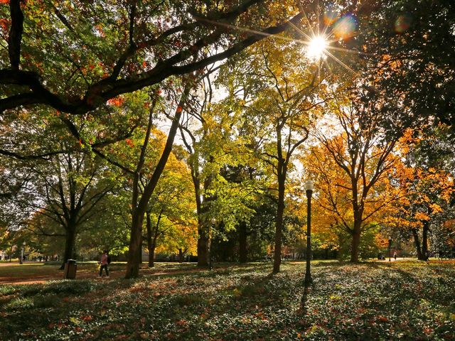 Photo of Vanderbilt University