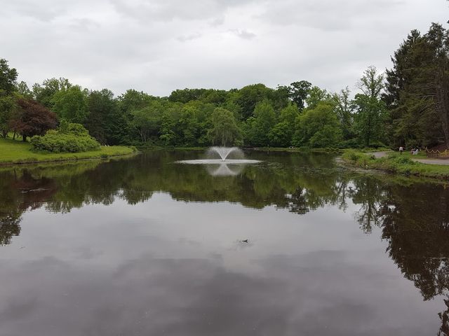 Photo of Vassar College