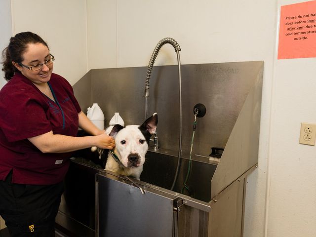 Photo of Vet Tech Institute