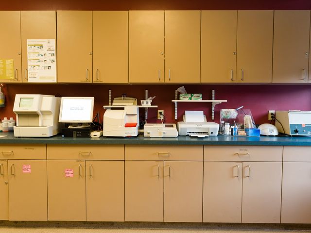 Photo of Vet Tech Institute