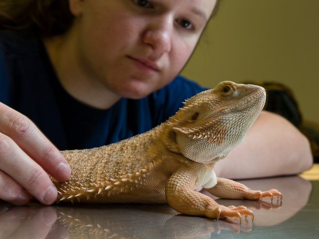 Photo of Vet Tech Institute