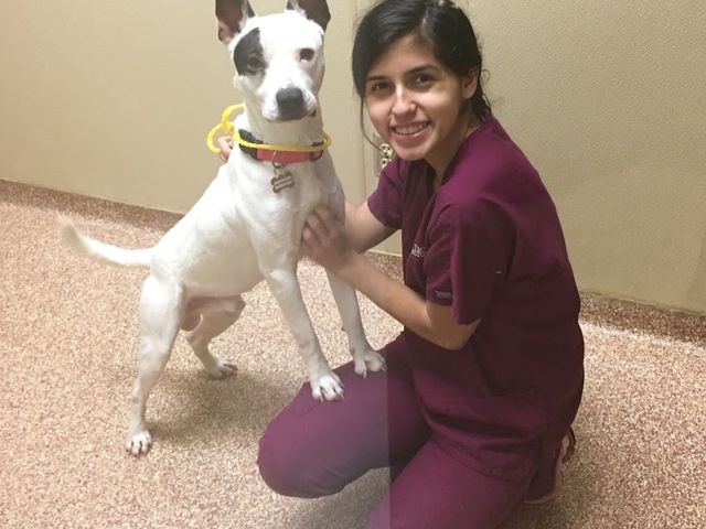 Photo of Vet Tech Institute of Houston